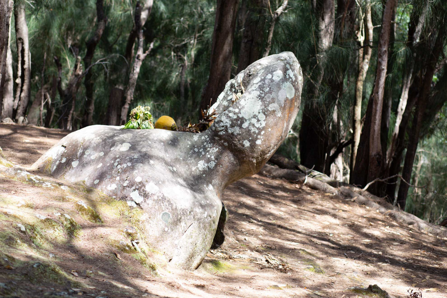 Phallic Rock